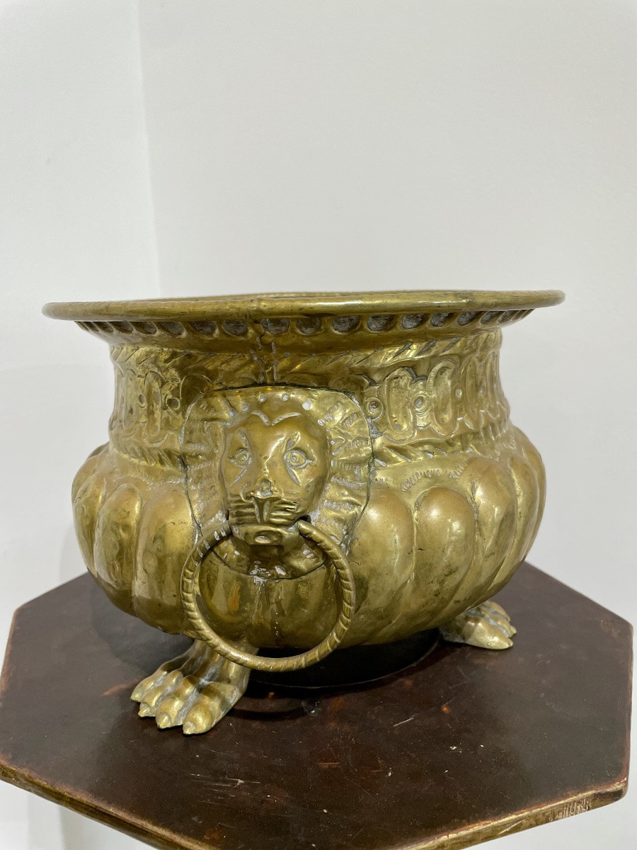 Jardinière lion en bronze doré XVIIIᵉ siècle. -photo-4