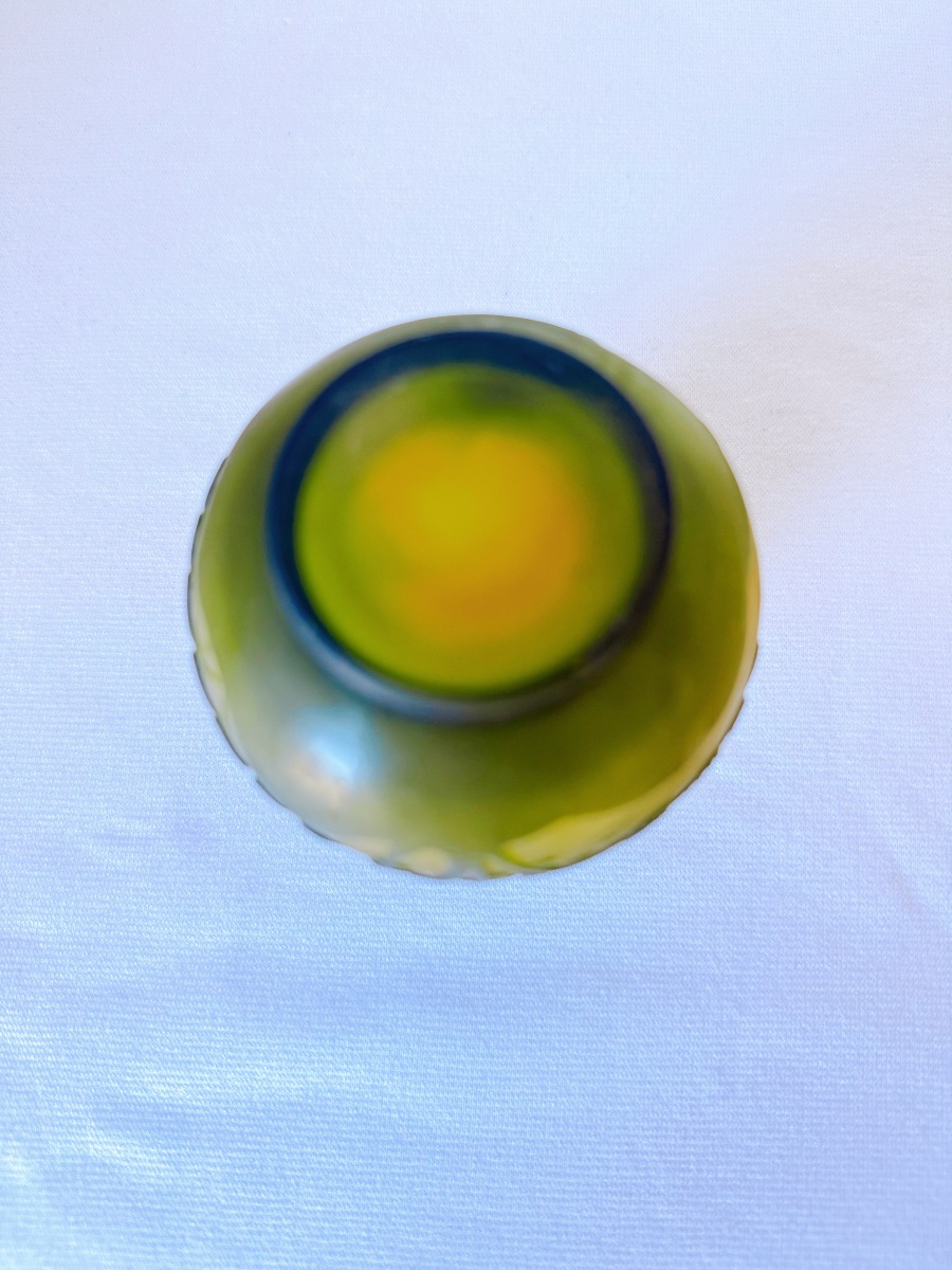 Vase en verre Art nouveau Gallé avec motif de fougère-photo-4