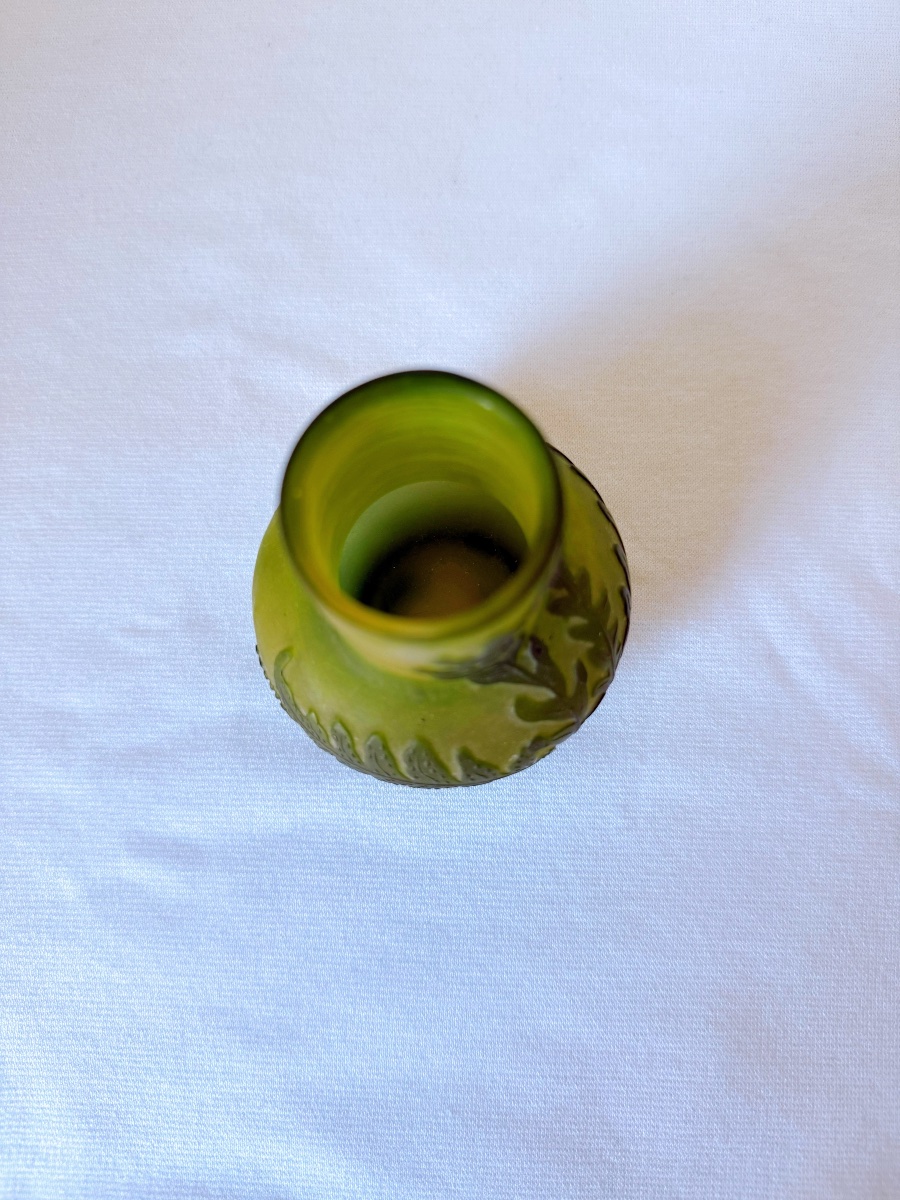 Vase en verre Art nouveau Gallé avec motif de fougère-photo-7