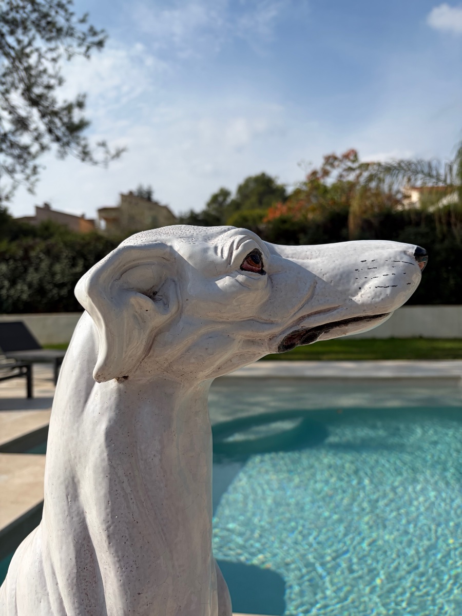 White Glazed Ceramic Greyhound On A Yellow Cushion, 20th Century-photo-1