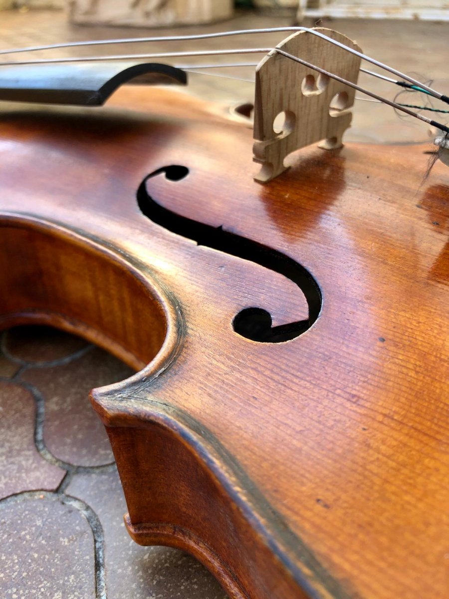 Former Violin Pilàt Pàl Budapest-photo-5