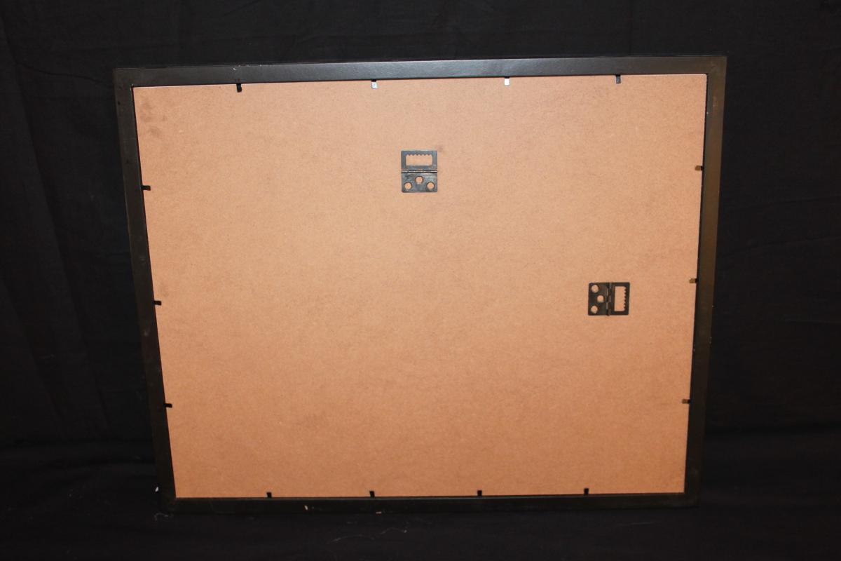 Optics View-photo-4