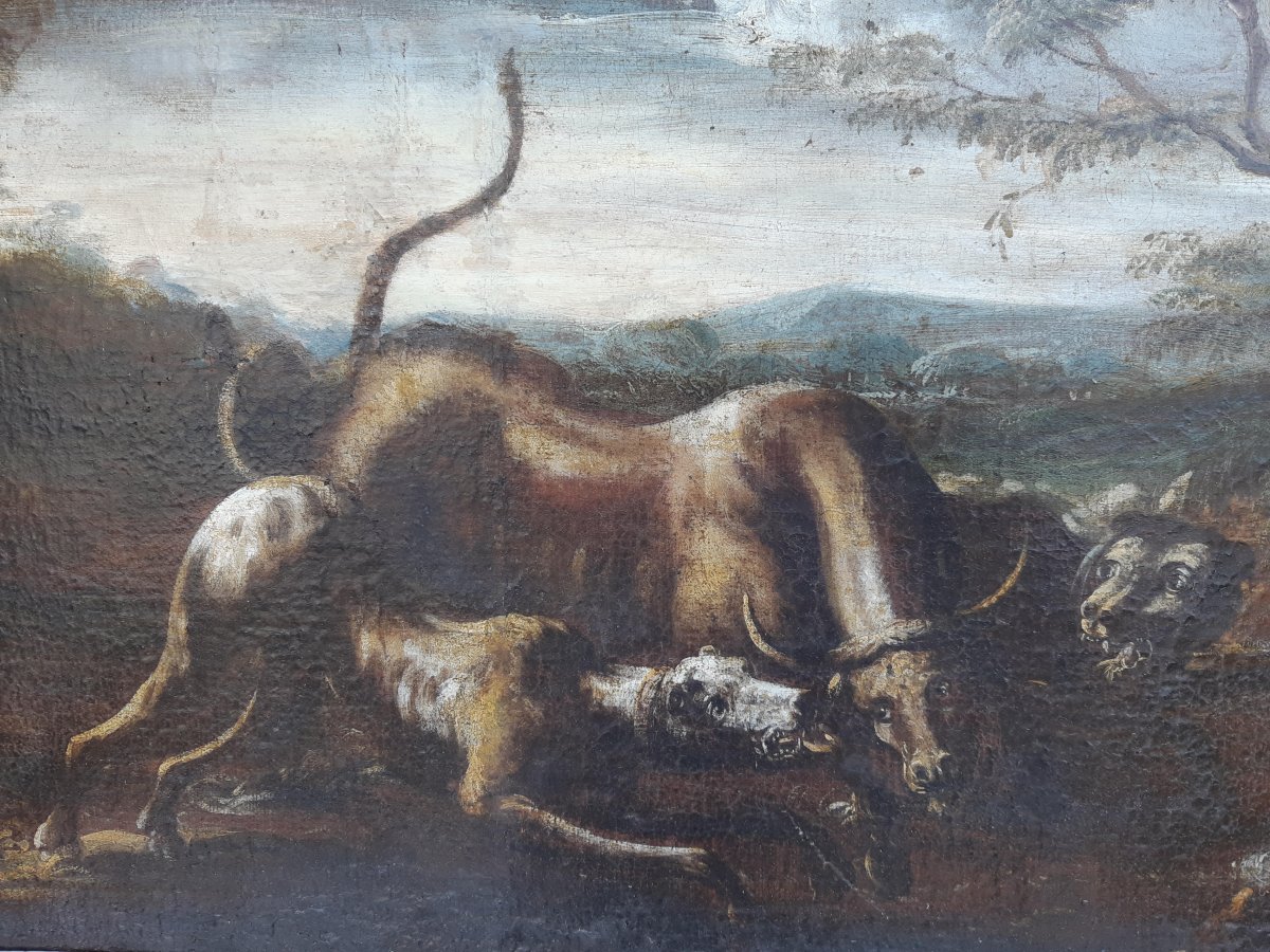 Oil On Canvas 17th Century-photo-3