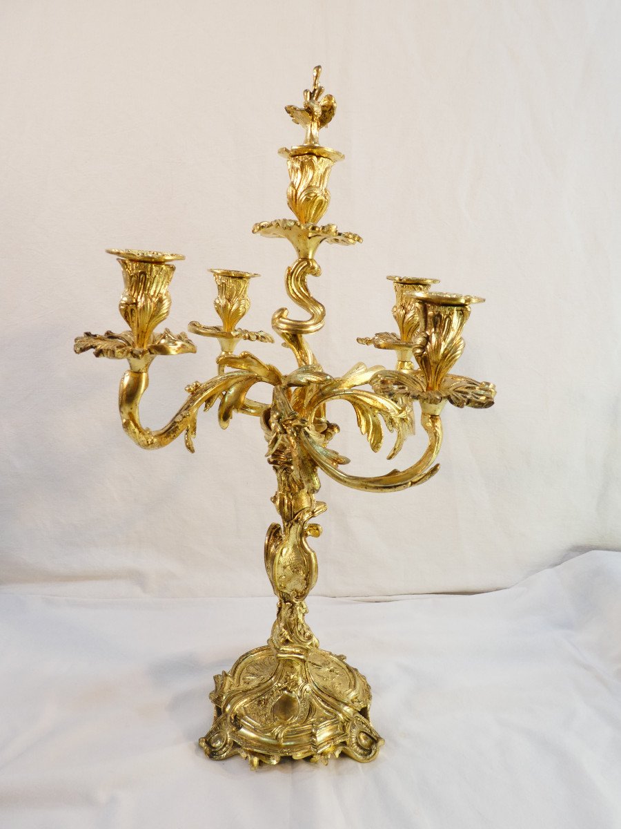 Grande Paire de candelabres en bronze doré de style LOUIS XV-photo-2