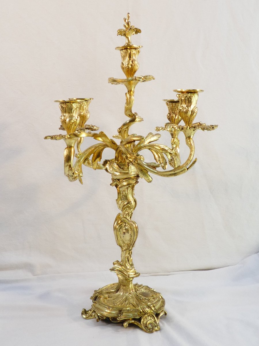 Grande Paire de candelabres en bronze doré de style LOUIS XV-photo-3
