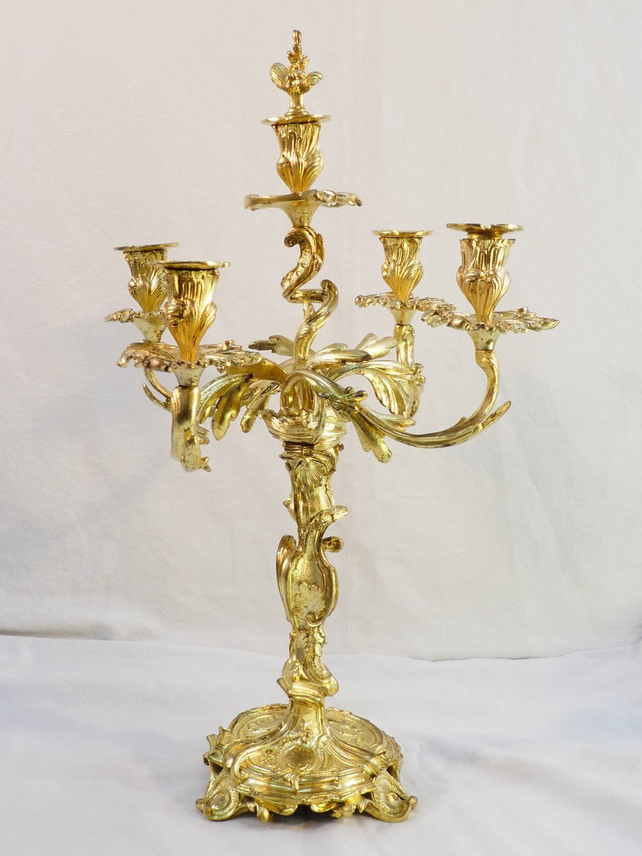 Grande Paire de candelabres en bronze doré de style LOUIS XV-photo-4