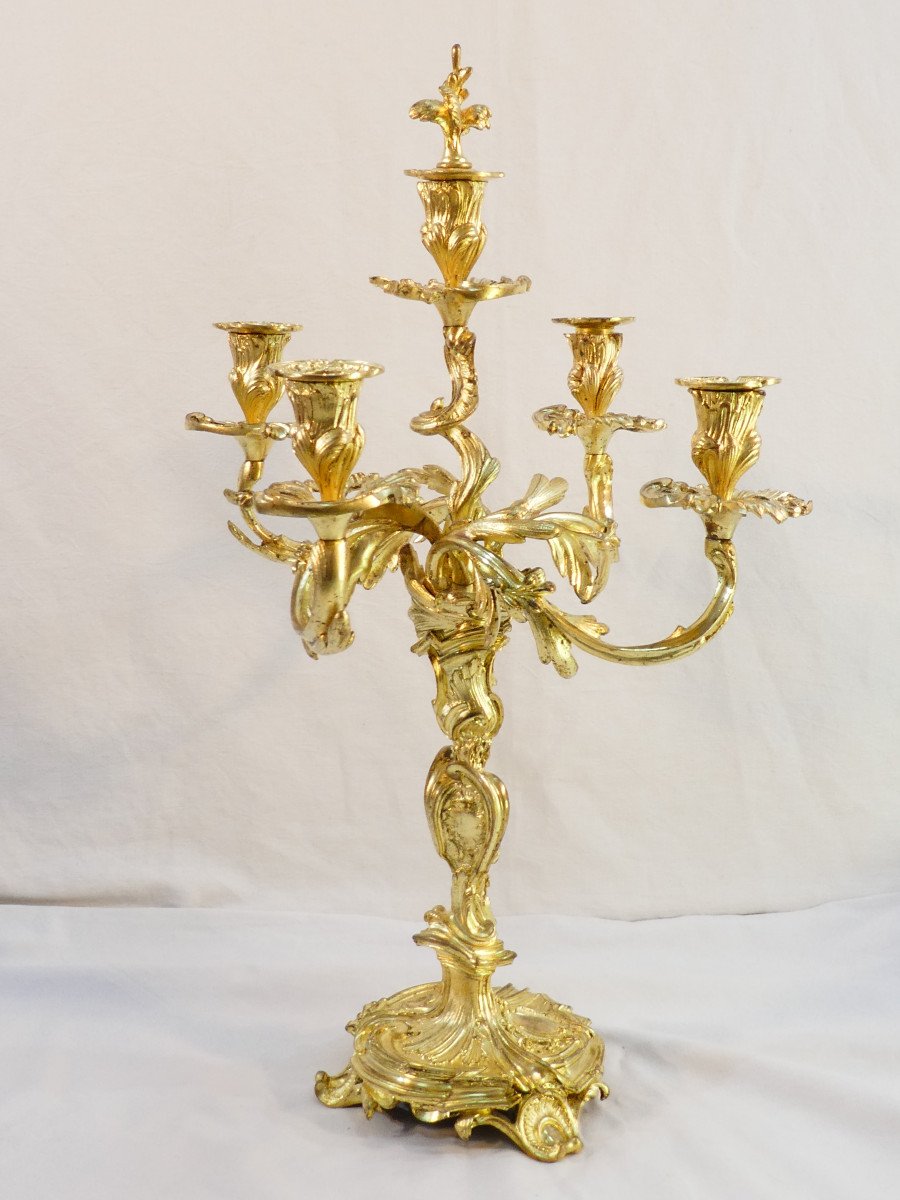 Grande Paire de candelabres en bronze doré de style LOUIS XV-photo-5