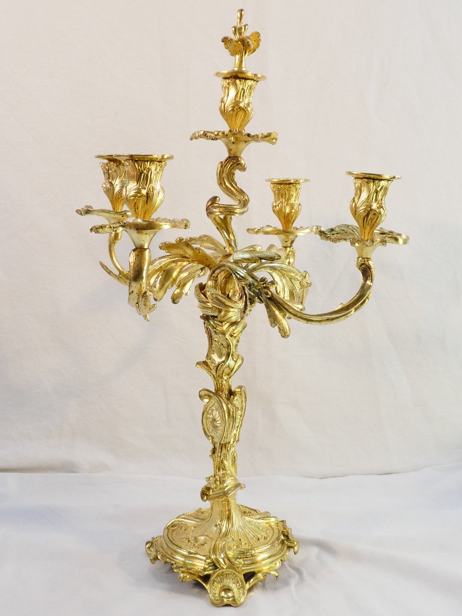 Grande Paire de candelabres en bronze doré de style LOUIS XV-photo-6