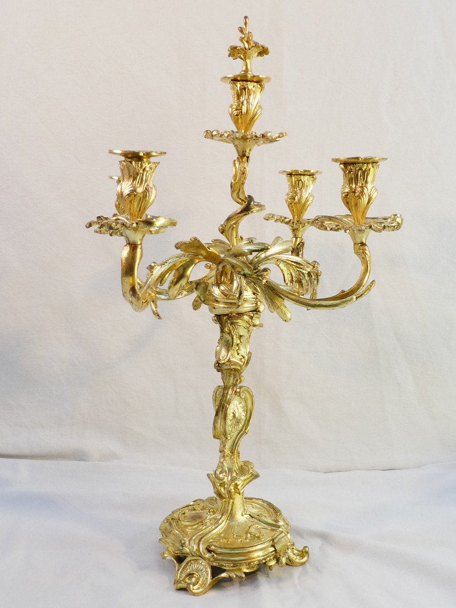 Grande Paire de candelabres en bronze doré de style LOUIS XV-photo-7