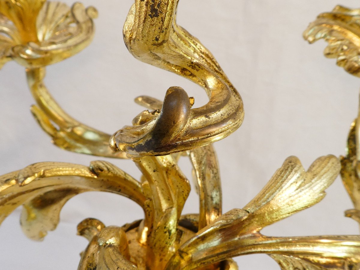 Grande Paire de candelabres en bronze doré de style LOUIS XV-photo-8