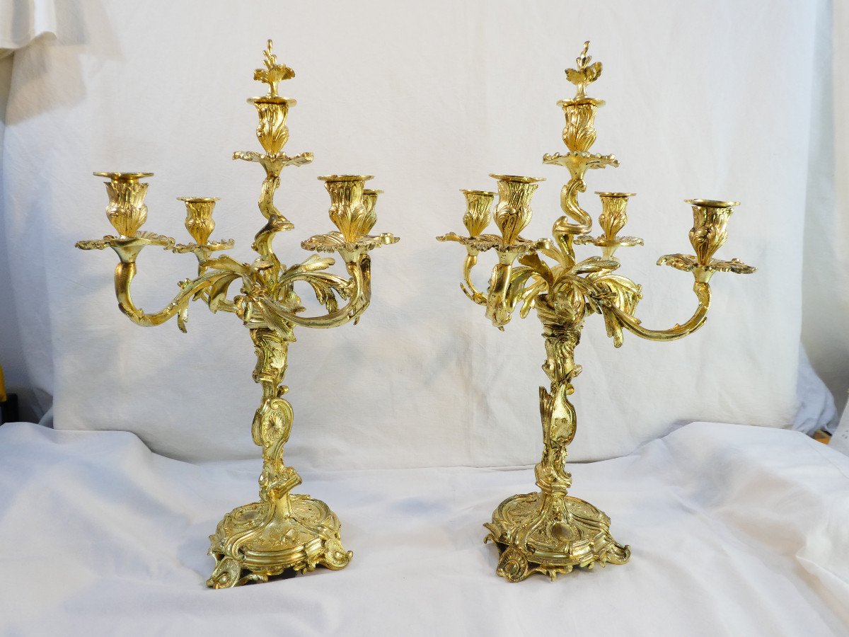 Grande Paire de candelabres en bronze doré de style LOUIS XV
