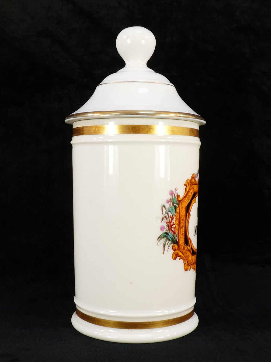 Paris Porcelain Pharmacy Jar "fontemoing & Peigney" Ung: Matris-photo-4