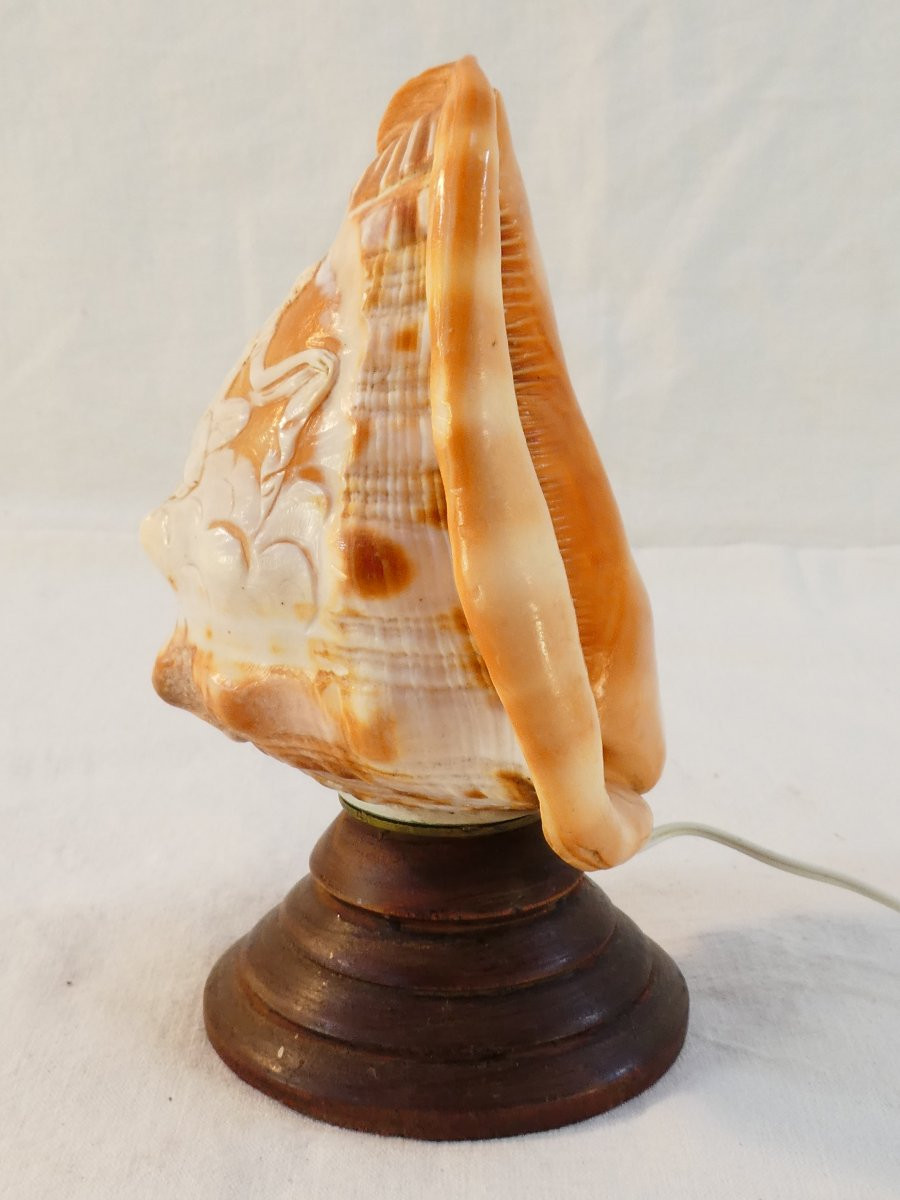 Carved Shell Cameo Style Night Light-photo-2