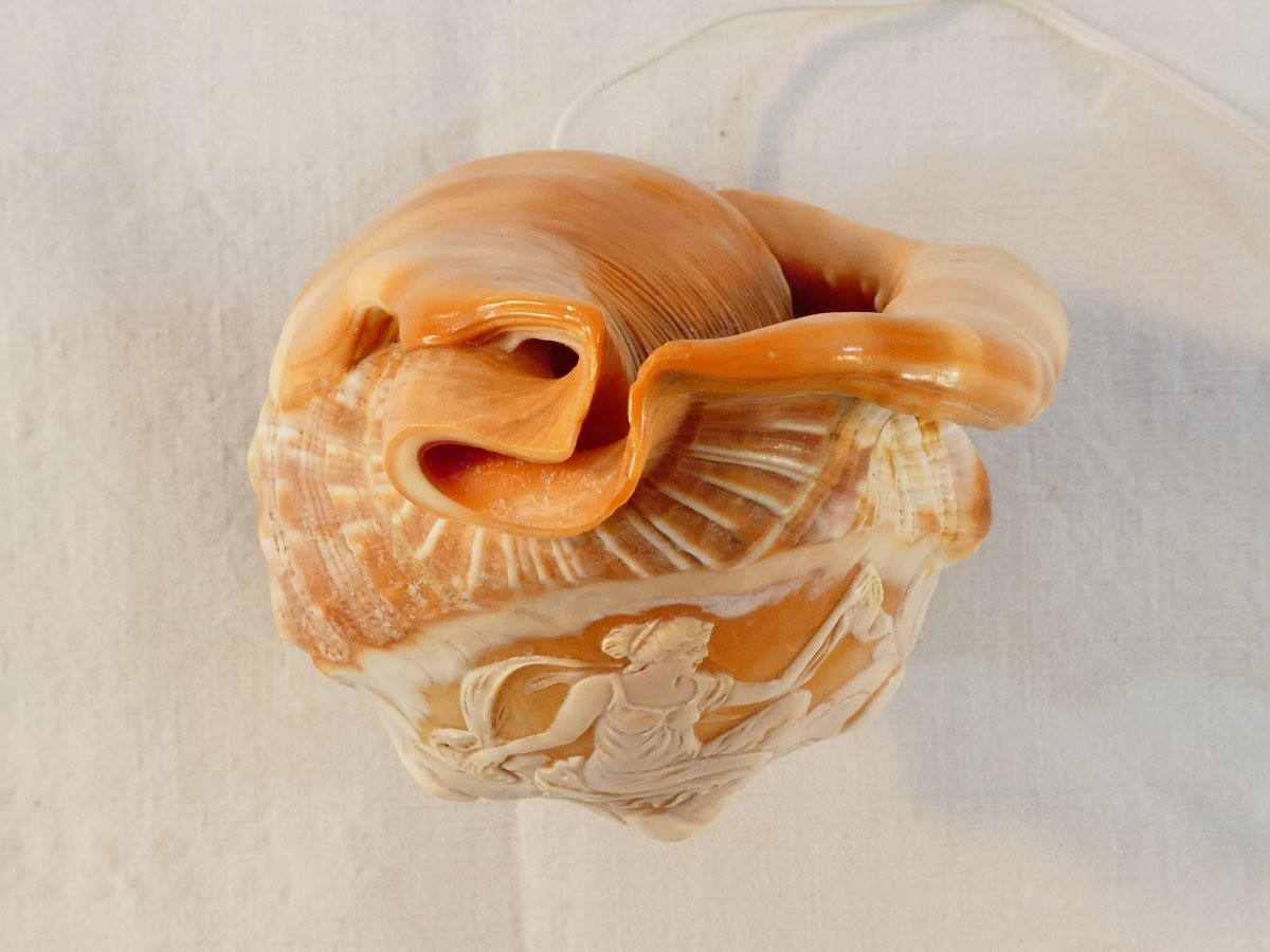 Carved Shell Cameo Style Night Light-photo-4