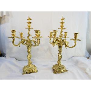 Large Pair Of Louis XV Style Gilded Bronze Candelabra