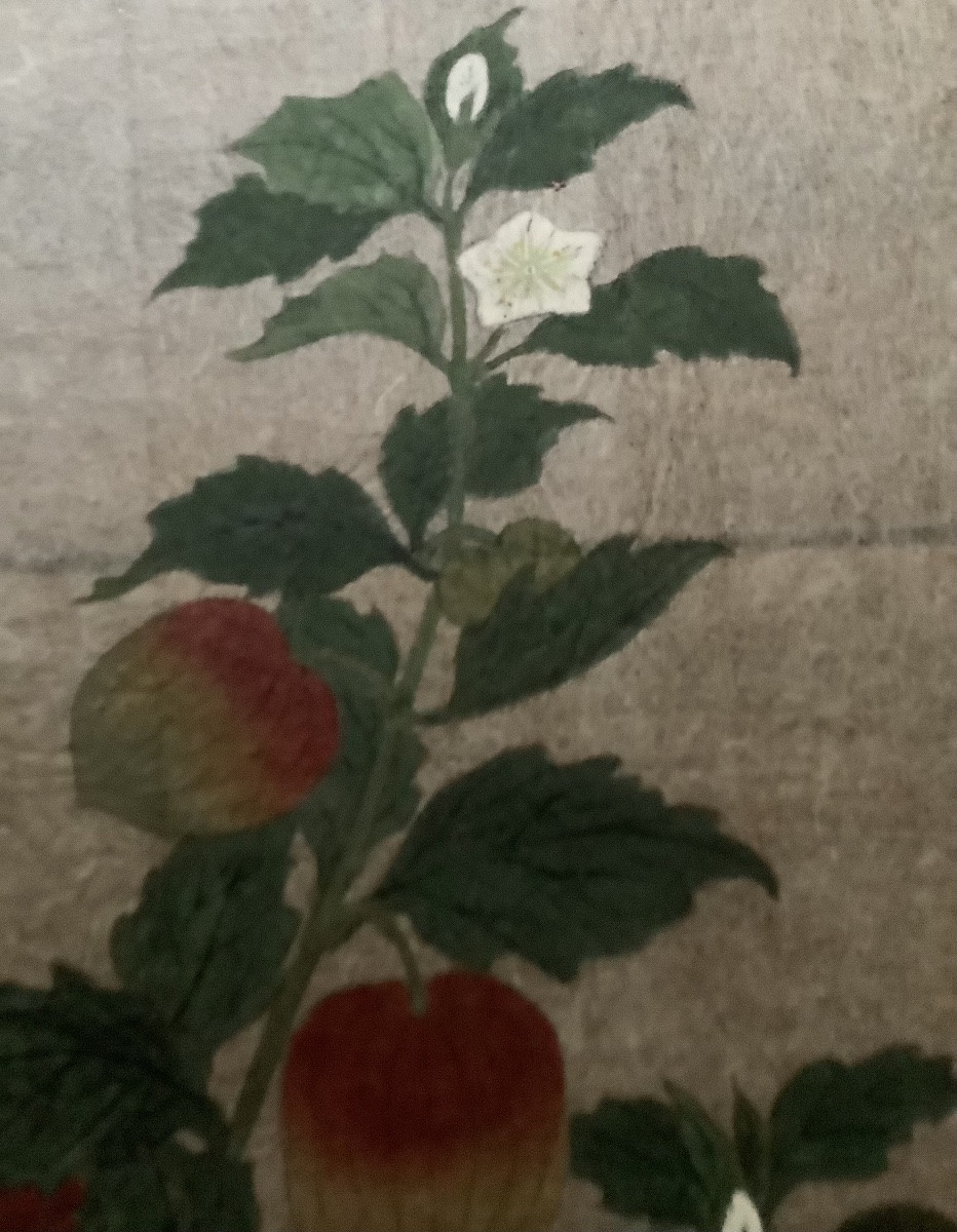 Une paire de peintures en gouache sur papier en soie japonais -photo-2