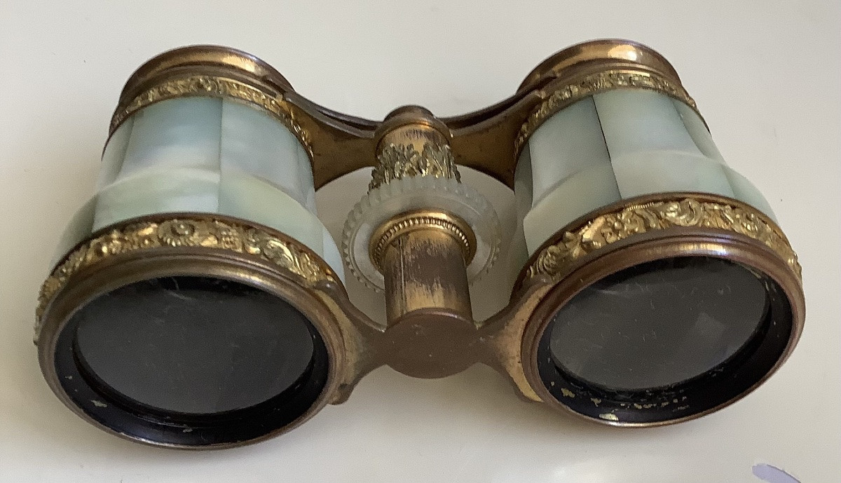 A Pair Of Mother-of-pearl Theatre Shoes-photo-4