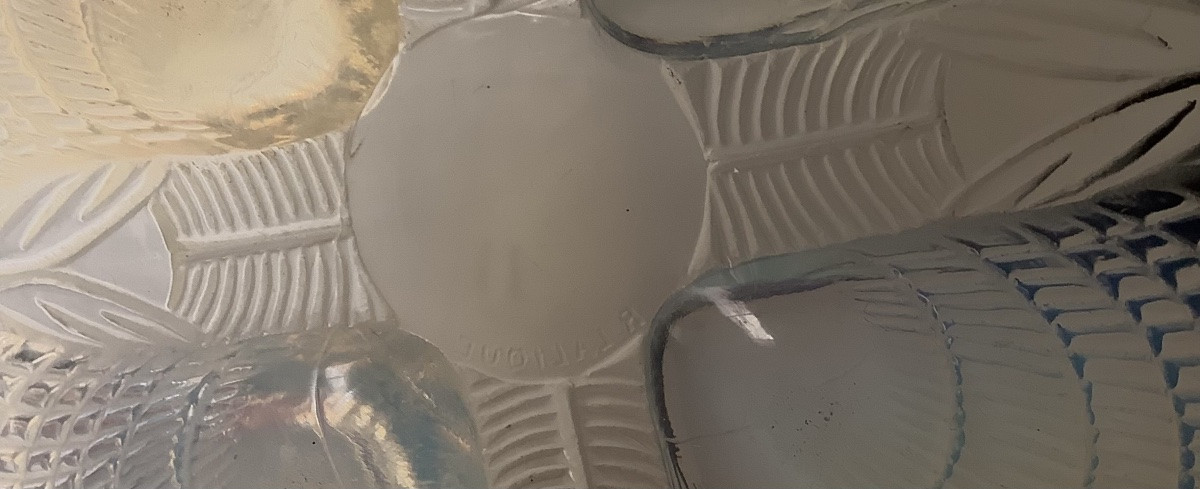 Large Hollow Dish In Opalescent Art Deco Molded Glass Signed R. Lalique, Shell Model-photo-3