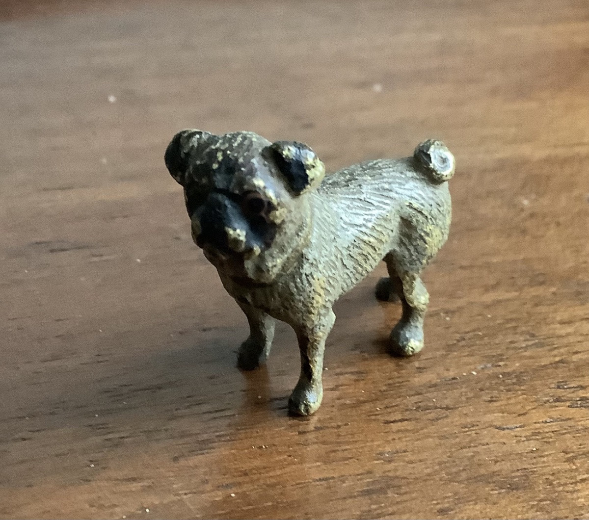 Bronze de vienne buldog-photo-2