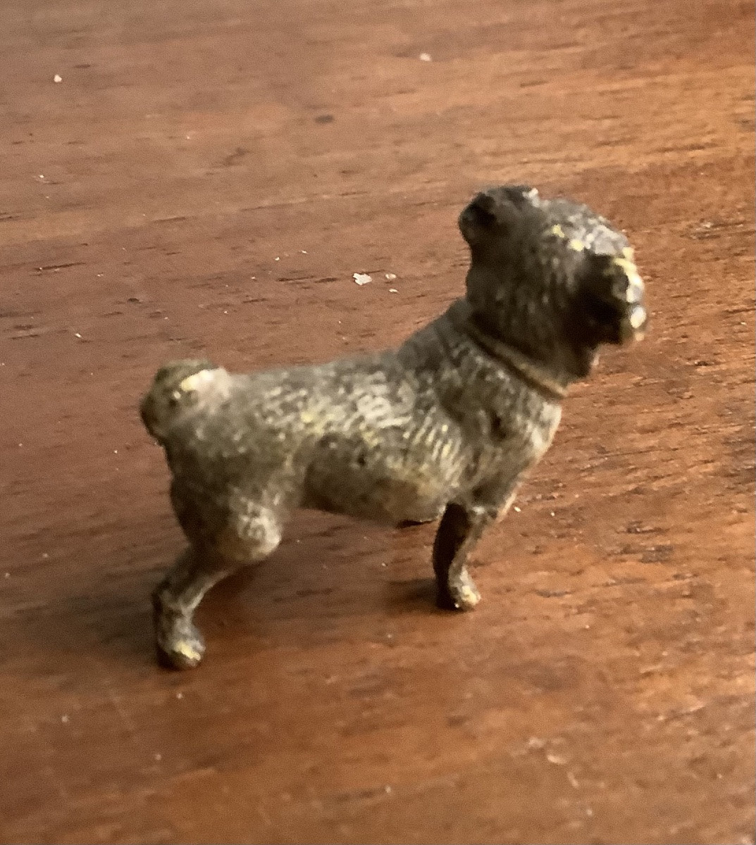 Bronze de vienne buldog-photo-3