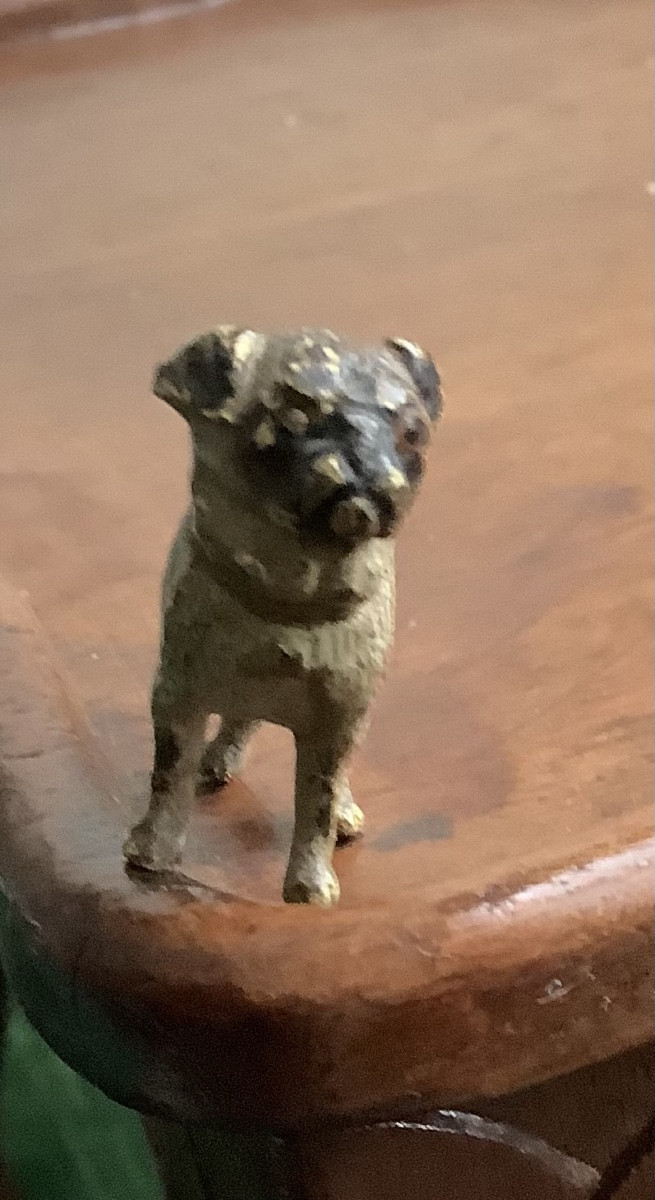 Bronze de vienne buldog