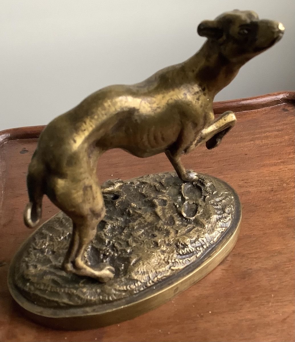 The Bronze Greyhound-photo-3
