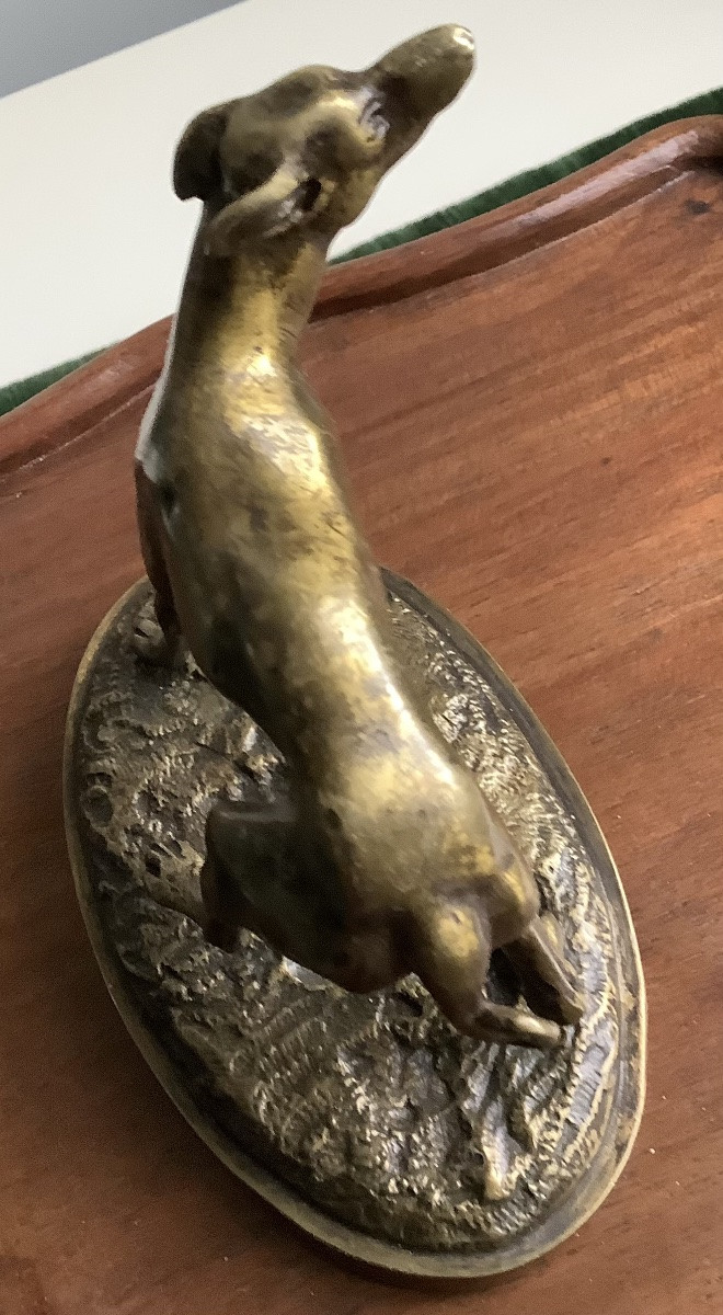 The Bronze Greyhound-photo-1