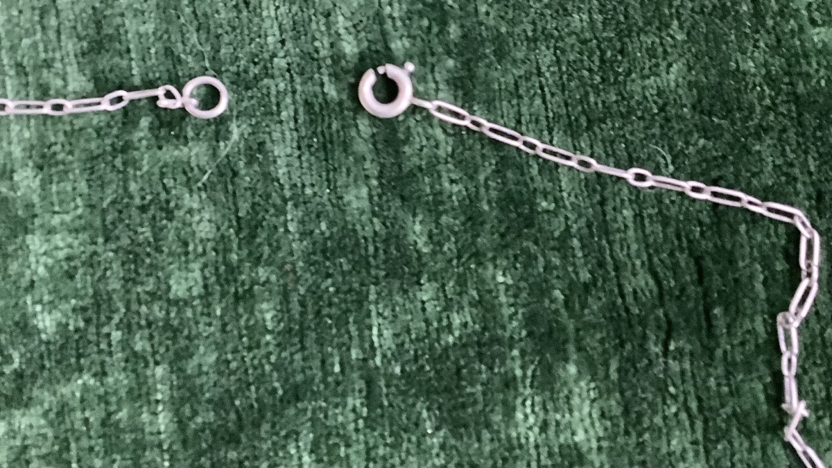 A Silver Necklace Adorned With Leaves In The Center Of A Mother-of-pearl Bead-photo-3