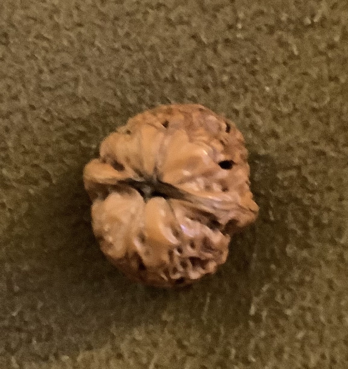 Noix sculpté décor de personage asiatique -photo-2