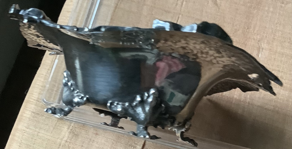 Une coupelle  en argent décor de fleurs  et de feuilles d’acathe  Art Nouveau -photo-5