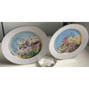 2 Assiettes  Porcelaine De Sèvres Décor Fleurs Sauvage 