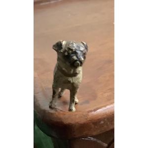 Vienna Bronze Bulldog