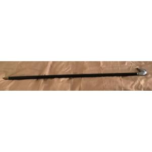 Walking Stick With Canard Knob