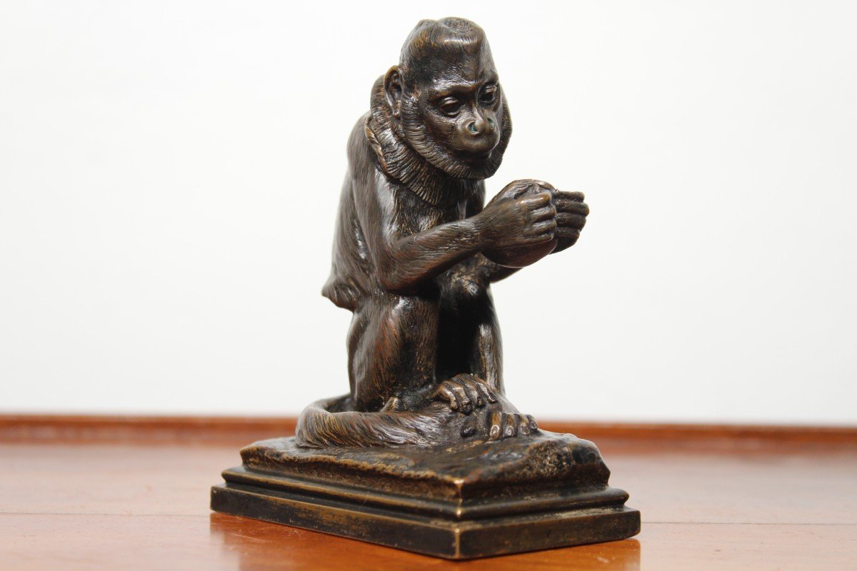 Animal Bronze - Monkey With Coconut - Alfred Barye (1839-1882)-photo-2