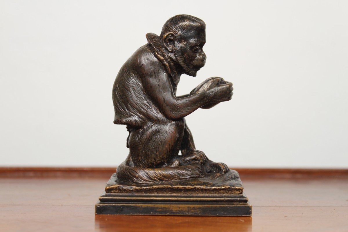 Animal Bronze - Monkey With Coconut - Alfred Barye (1839-1882)