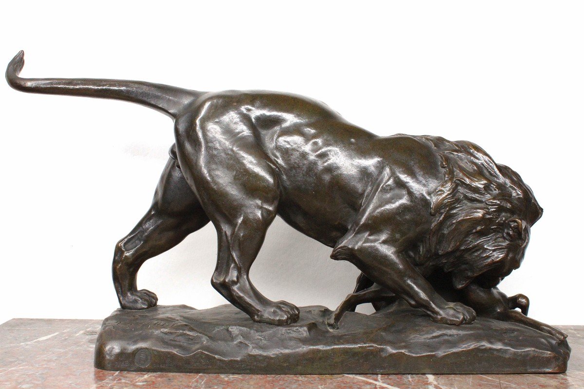 Animal Bronze - Lion Devouring An Antelope - Georges Gardet - Société Des Bronzes De Paris-photo-3