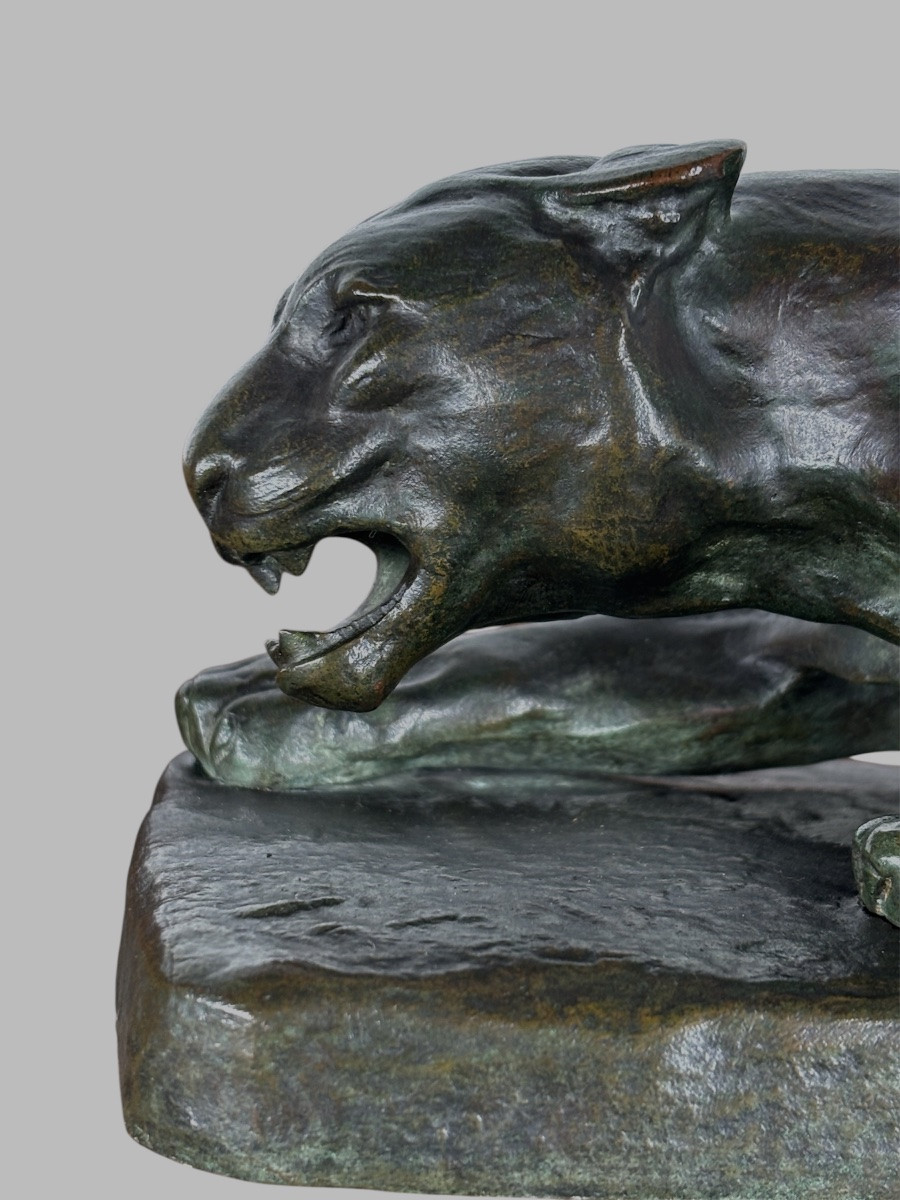 Bronze animalier - panthère a l’affût - John Mayne Van Der Kemp - Fondeur Compagnie des bronzes-photo-3