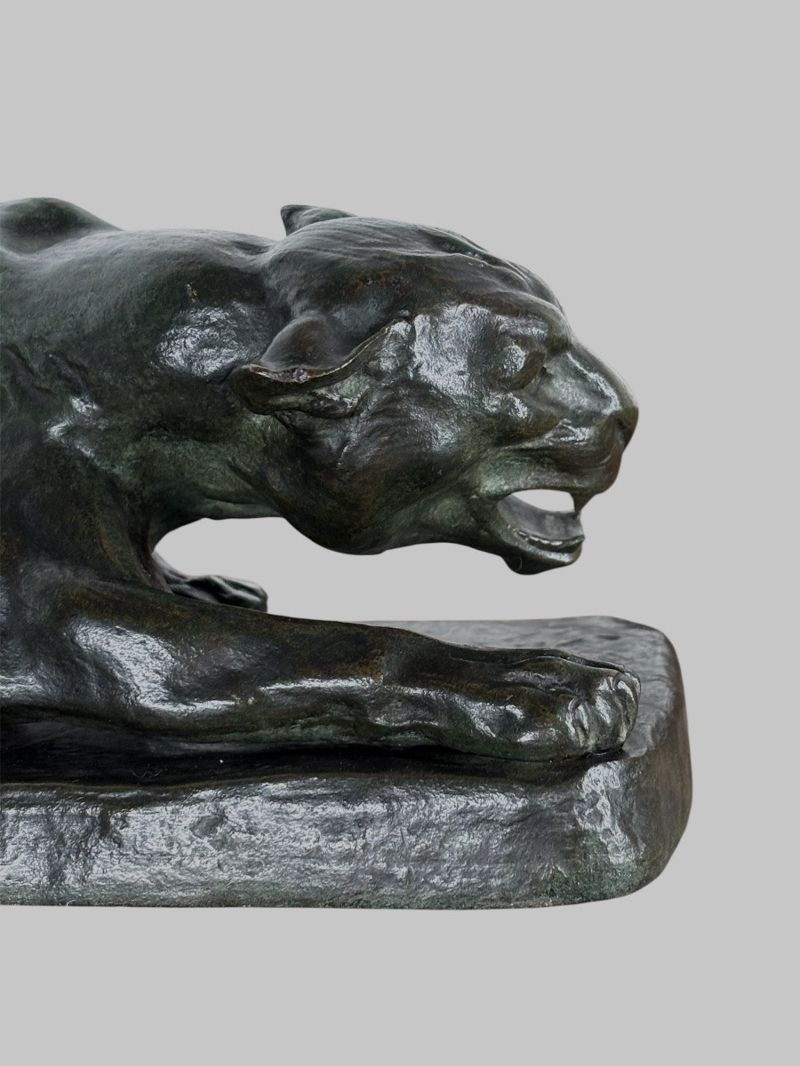 Bronze animalier - panthère a l’affût - John Mayne Van Der Kemp - Fondeur Compagnie des bronzes-photo-4