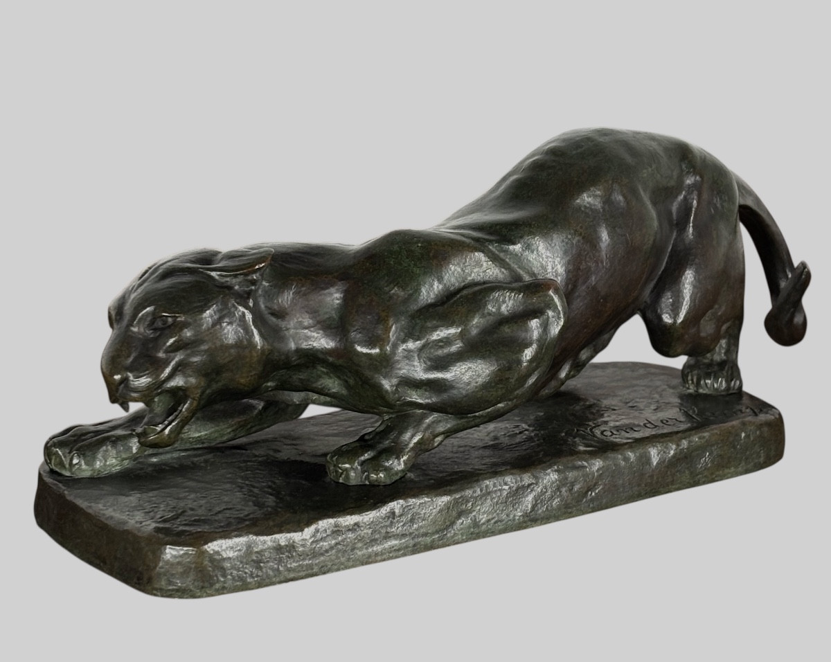 Bronze animalier - panthère a l’affût - John Mayne Van Der Kemp - Fondeur Compagnie des bronzes