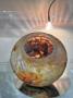 1774201-alb-6a25c898a7ffa.jpg