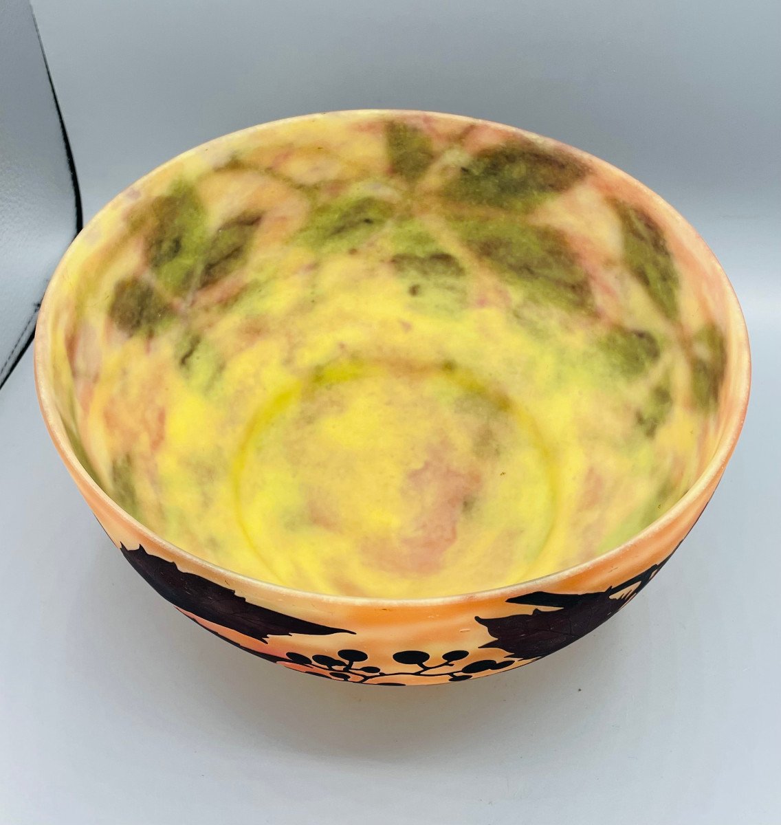 Art Nouveau Mushroom Lamp Shade Daum Nancy France-photo-7