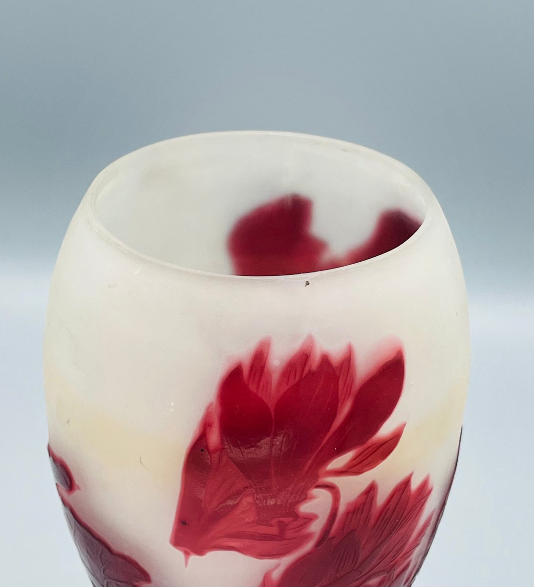 Art Nouveau Vase With Cyclamen Emile Gallé Nancy 1900-photo-4