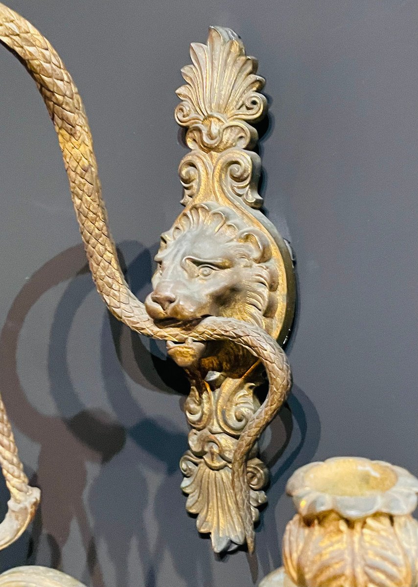 Paire d'Appliques 5 Lumières En Bronze Au Lion Et Serpent Napoléon III XIXe-photo-3