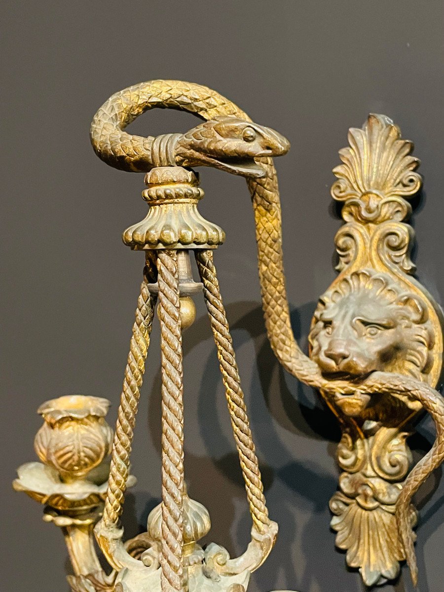 Paire d'Appliques 5 Lumières En Bronze Au Lion Et Serpent Napoléon III XIXe-photo-4