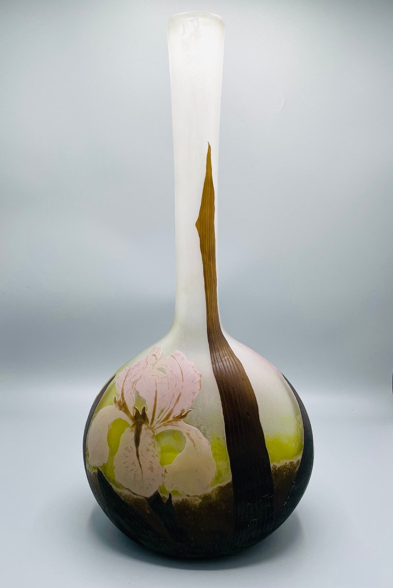 Exceptional Art Nouveau Daum Nancy Vase With Iris-photo-2