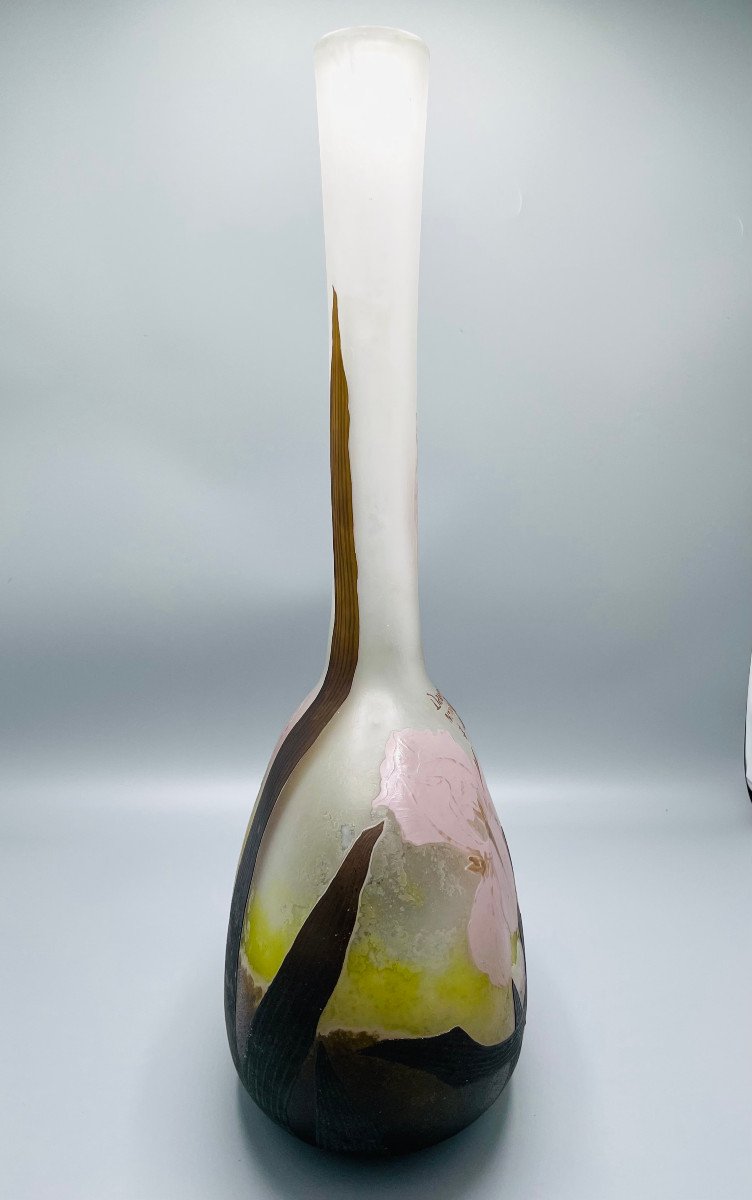 Exceptional Art Nouveau Daum Nancy Vase With Iris-photo-3