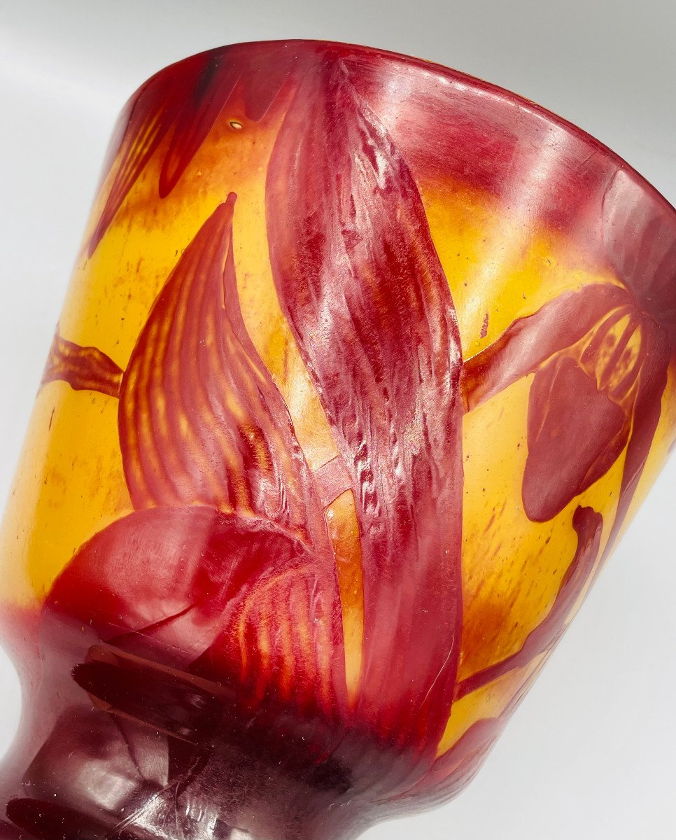 Rare Art Nouveau Vase With Orchids Cristallerie Emile Gallé Nancy 1890-photo-5