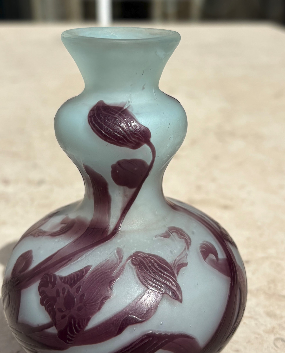 Vase Art Nouveau Emile Gallé à Nancy-photo-4