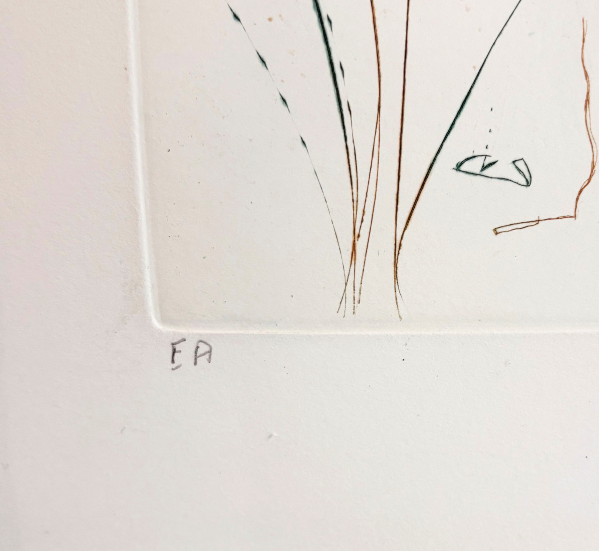 Salvador Dali "return, O Shulamite" Drypoint In Color-photo-2