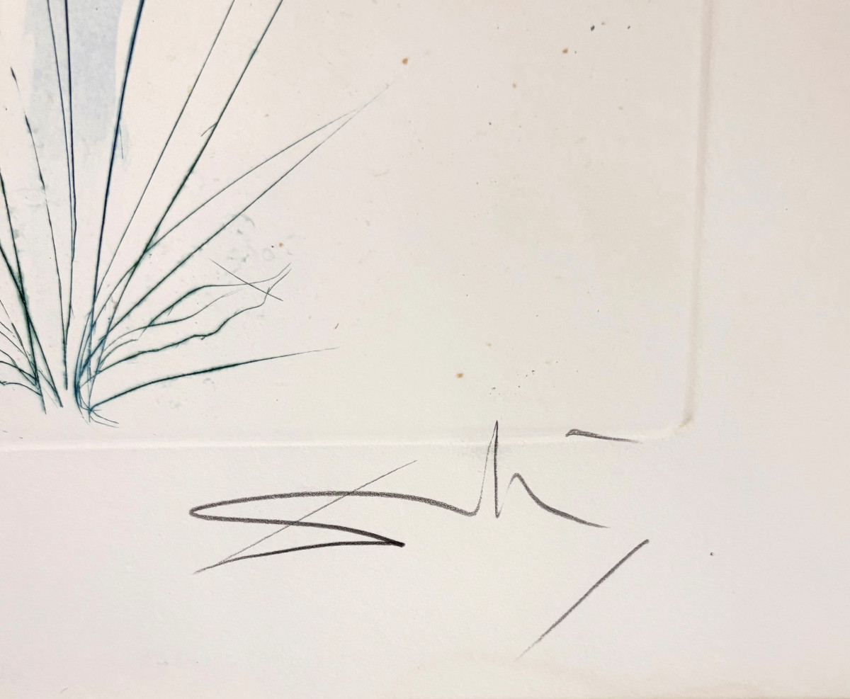 Salvador Dali "return, O Shulamite" Drypoint In Color-photo-3